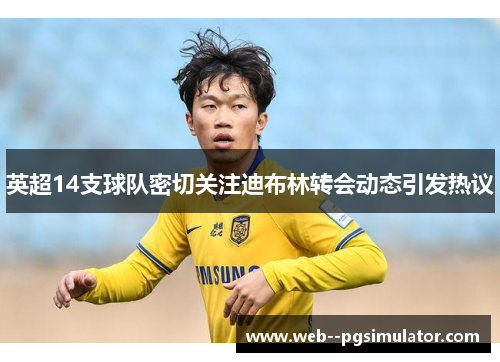 英超14支球队密切关注迪布林转会动态引发热议