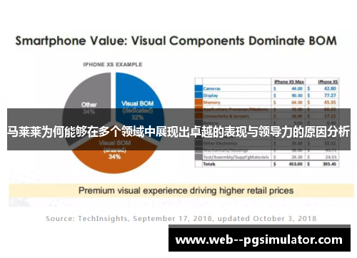 马莱莱为何能够在多个领域中展现出卓越的表现与领导力的原因分析